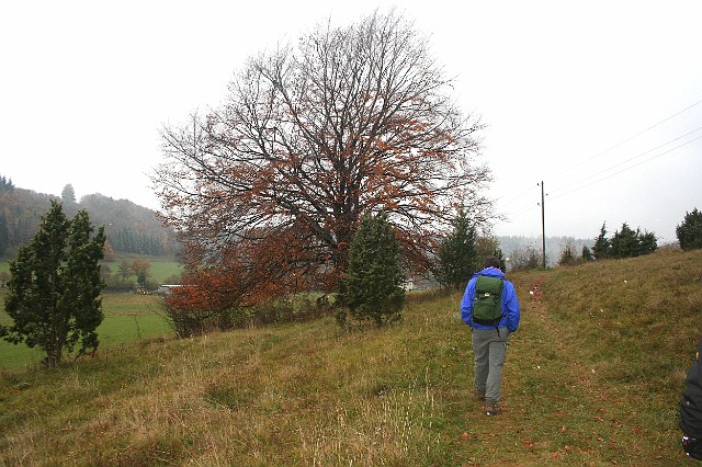 Raichberg 2007 Bild 44